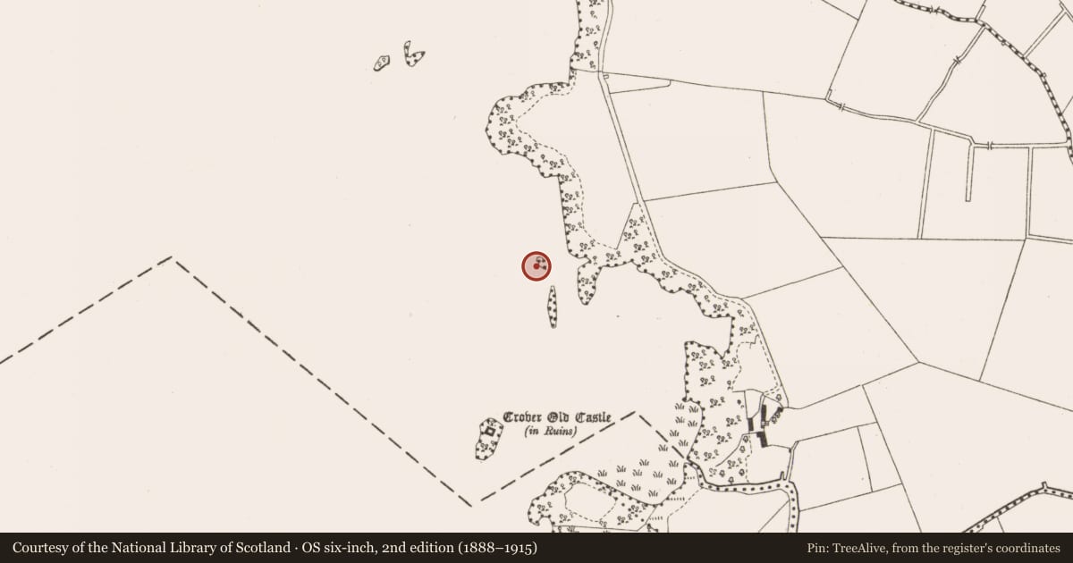 Ordnance Survey six-inch map, 2nd edition (1888–1915) covering the location of Crannog, Crover, County Cavan, with a pin at the register's coordinates