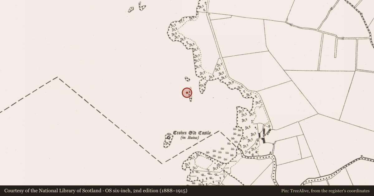 Ordnance Survey six-inch map, 2nd edition (1888–1915) covering the location of Crannog, Crover, County Cavan, with a pin at the register's coordinates
