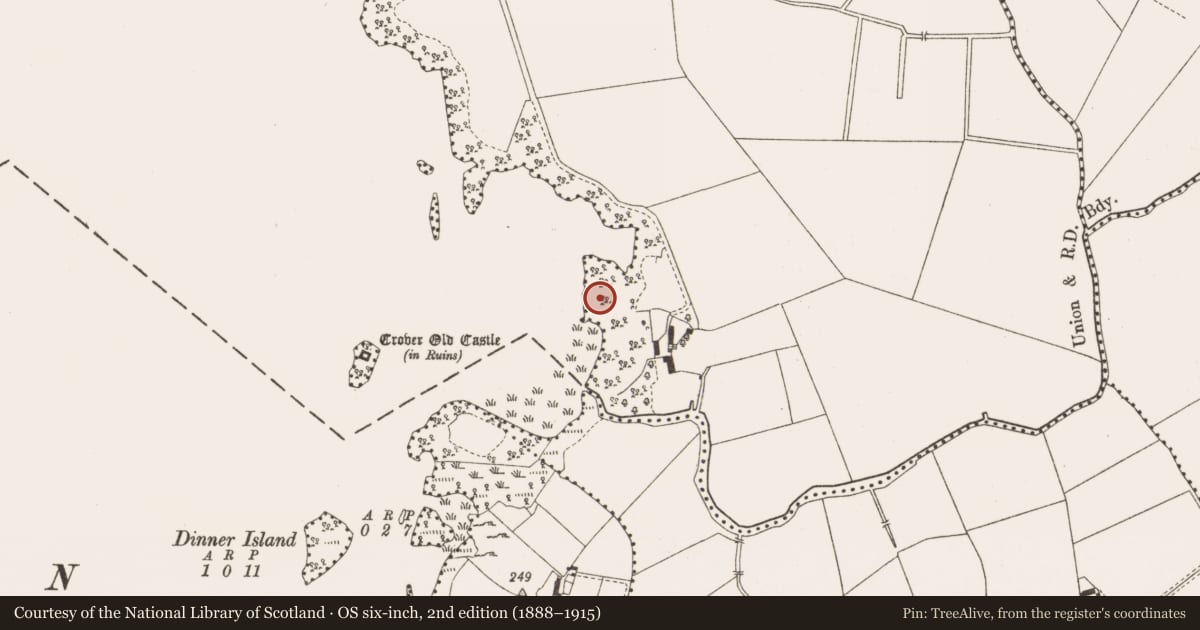 Ordnance Survey six-inch map, 2nd edition (1888–1915) covering the location of Crannog, Crover, County Cavan, with a pin at the register's coordinates