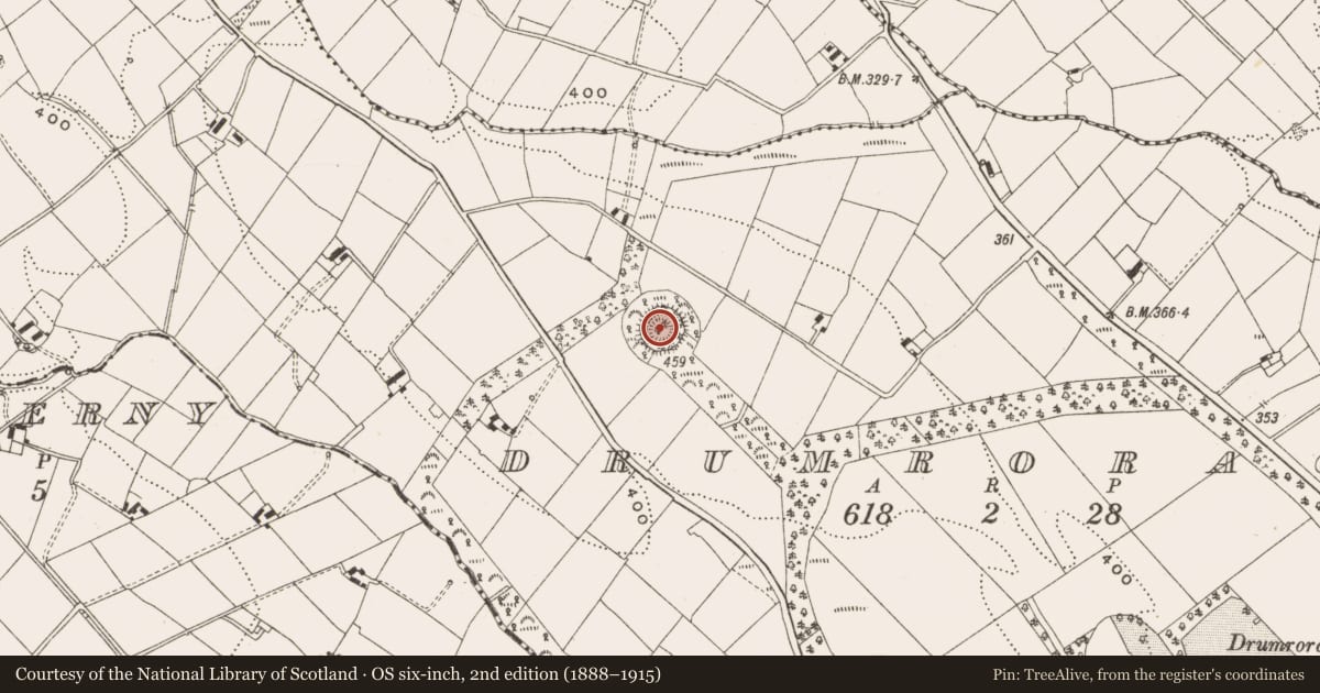 Ordnance Survey six-inch map, 2nd edition (1888–1915) covering the location of Ringfort - rath, Drumroragh, County Cavan, with a pin at the register's coordinates