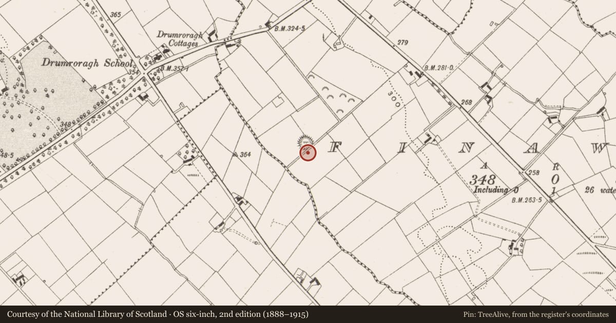 Ordnance Survey six-inch map, 2nd edition (1888–1915) covering the location of Ringfort - rath, Finaway, County Cavan, with a pin at the register's coordinates