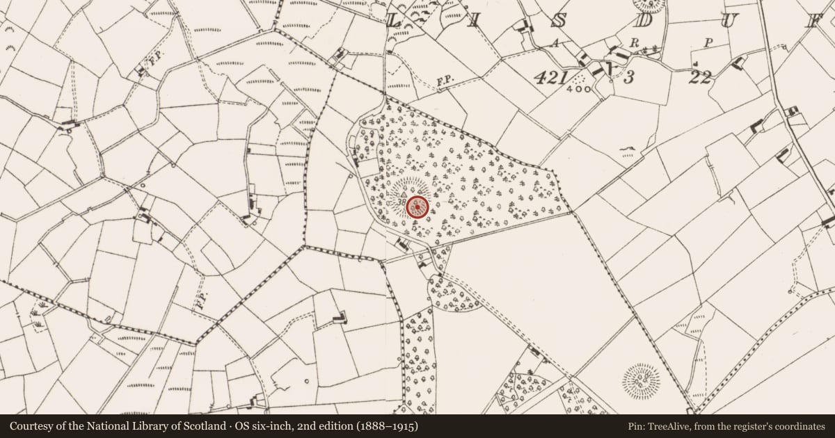 Ordnance Survey six-inch map, 2nd edition (1888–1915) covering the location of Ringfort - rath, Fortland, County Cavan, with a pin at the register's coordinates