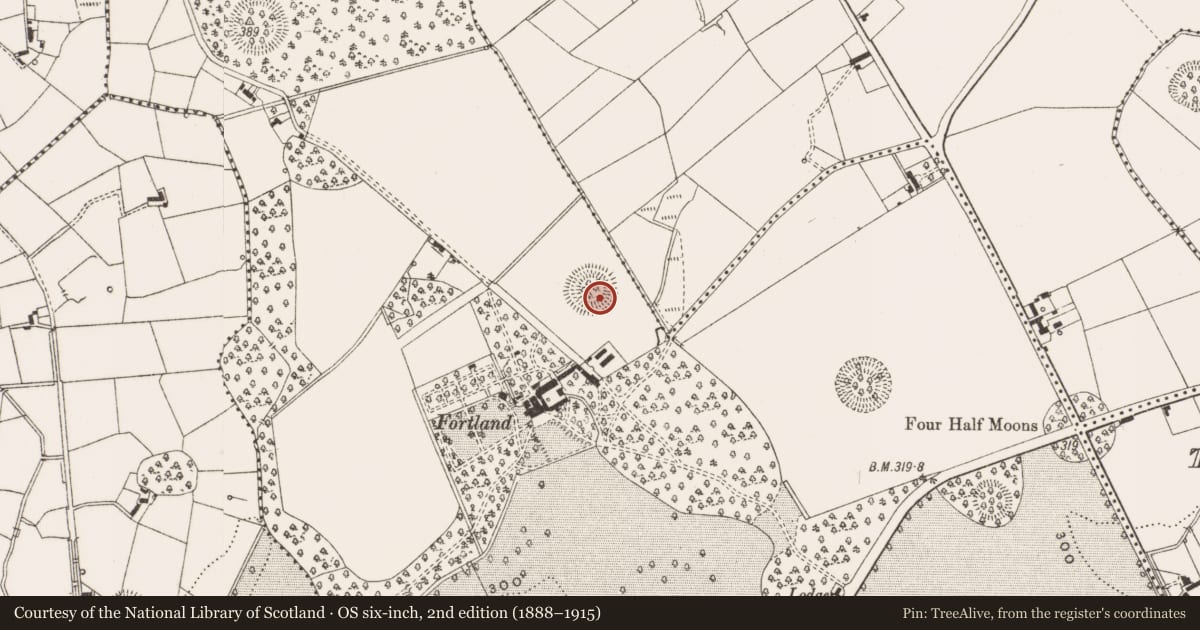 Ordnance Survey six-inch map, 2nd edition (1888–1915) covering the location of Ringfort - rath, Fortland, County Cavan, with a pin at the register's coordinates