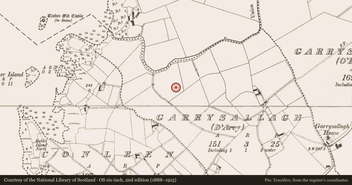 Ordnance Survey six-inch map, 2nd edition (1888–1915) covering the location of Ringfort - rath, Garrysallagh (D'arcy), County Cavan, with a pin at the register's coordinates