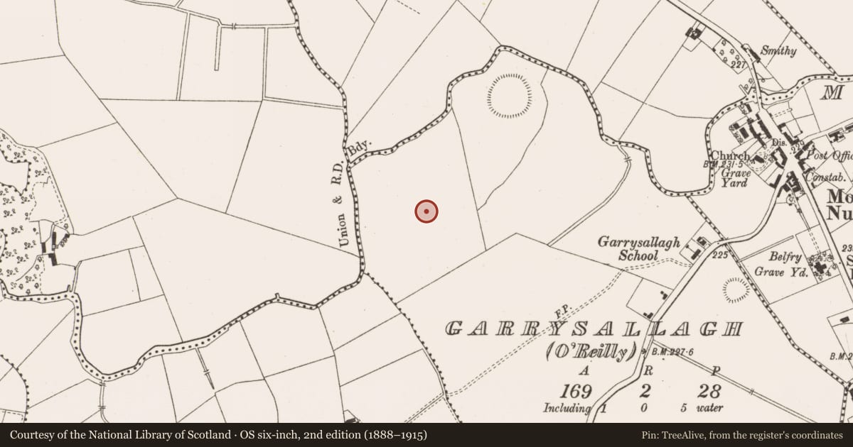 Ordnance Survey six-inch map, 2nd edition (1888–1915) covering the location of Ringfort - rath, Garrysallagh (O'Reilly), County Cavan, with a pin at the register's coordinates