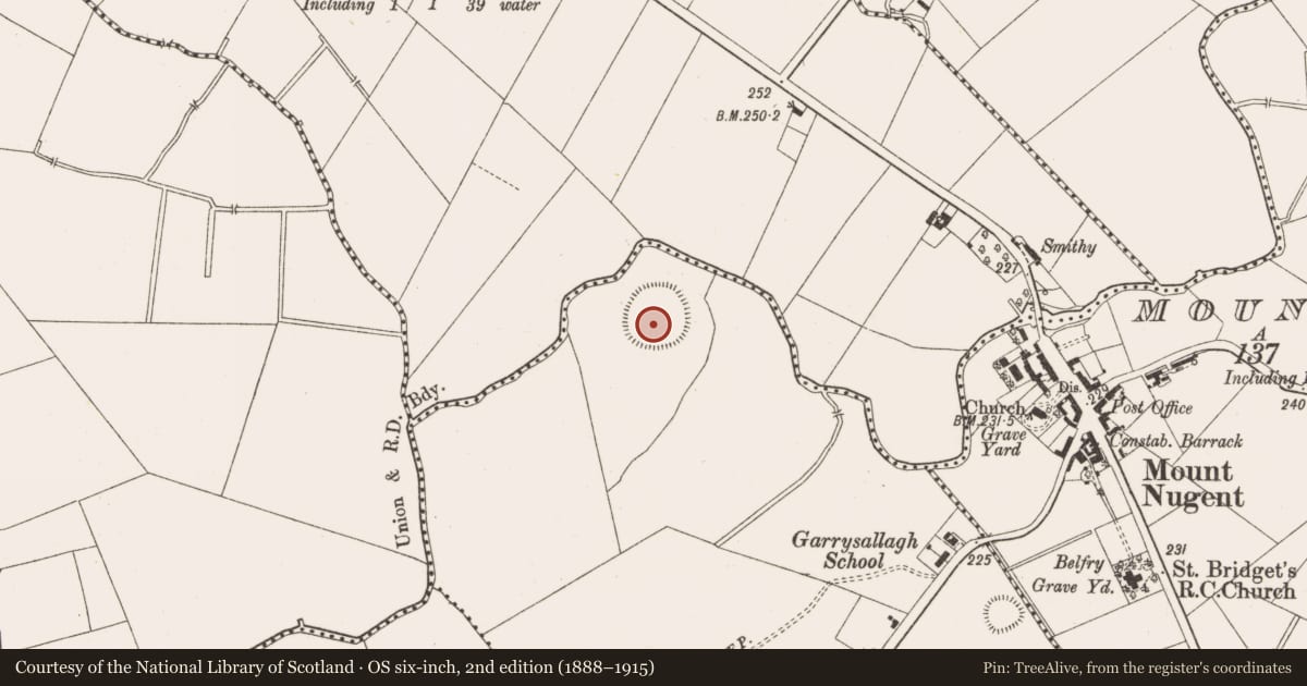 Ordnance Survey six-inch map, 2nd edition (1888–1915) covering the location of Ringfort - rath, Garrysallagh (O'Reilly), County Cavan, with a pin at the register's coordinates