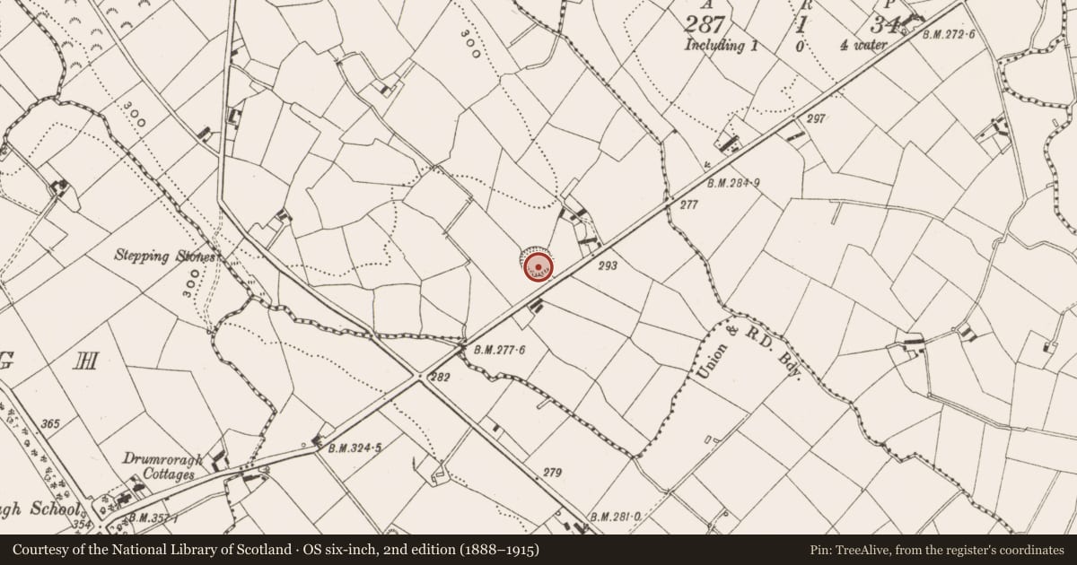 Ordnance Survey six-inch map, 2nd edition (1888–1915) covering the location of Ringfort - rath, Keenagh, County Cavan, with a pin at the register's coordinates