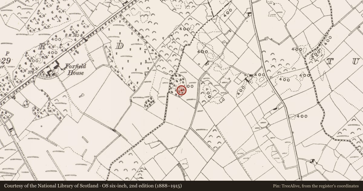 Ordnance Survey six-inch map, 2nd edition (1888–1915) covering the location of Designed landscape - tree-ring, Lisduff, County Cavan, with a pin at the register's coordinates