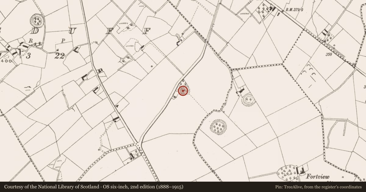 Ordnance Survey six-inch map, 2nd edition (1888–1915) covering the location of Ringfort - rath, Lisduff, County Cavan, with a pin at the register's coordinates