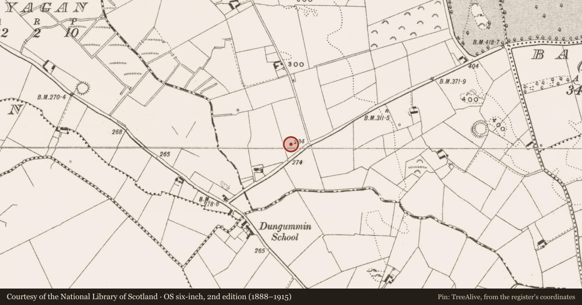Ordnance Survey six-inch map, 2nd edition (1888–1915) covering the location of Ringfort - rath, Lismacanigan Lower, County Cavan, with a pin at the register's coordinates