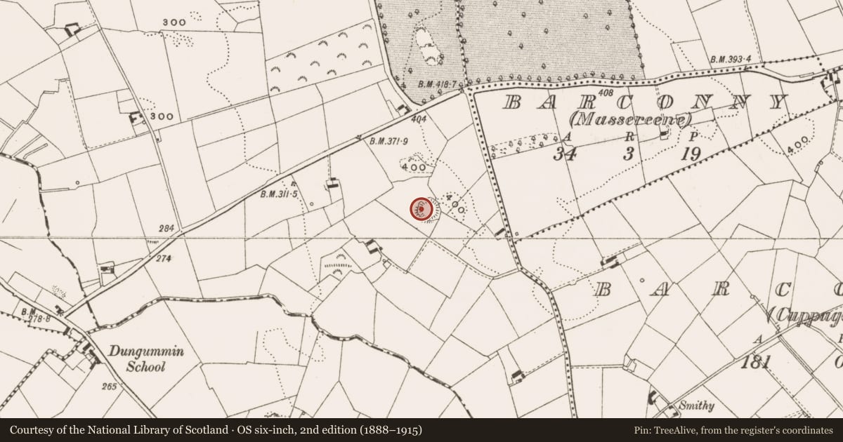 Ordnance Survey six-inch map, 2nd edition (1888–1915) covering the location of Ringfort - rath, Lismacanigan Lower, County Cavan, with a pin at the register's coordinates