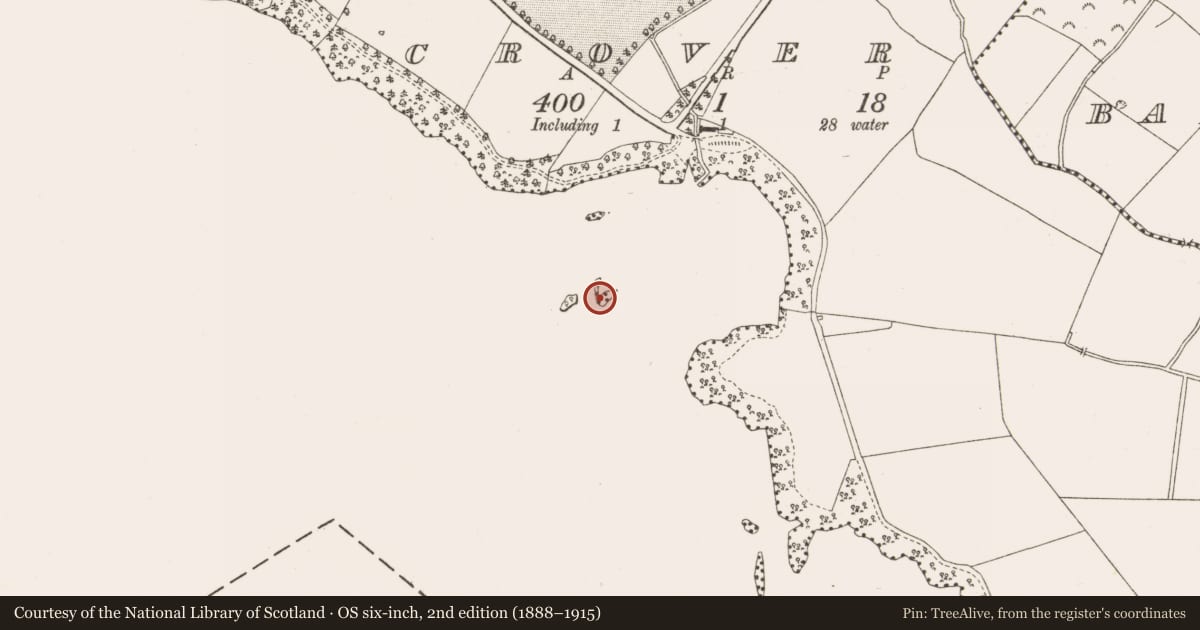 Ordnance Survey six-inch map, 2nd edition (1888–1915) covering the location of Crannog, Crover, County Cavan, with a pin at the register's coordinates