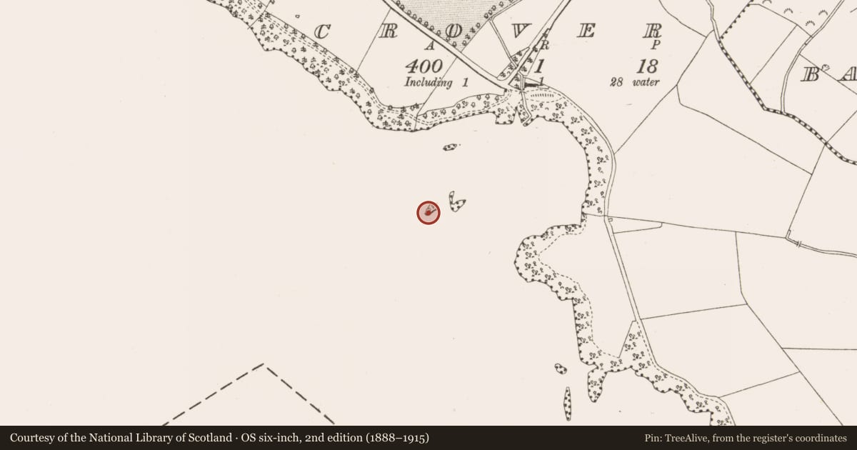 Ordnance Survey six-inch map, 2nd edition (1888–1915) covering the location of Crannog, Crover, County Cavan, with a pin at the register's coordinates