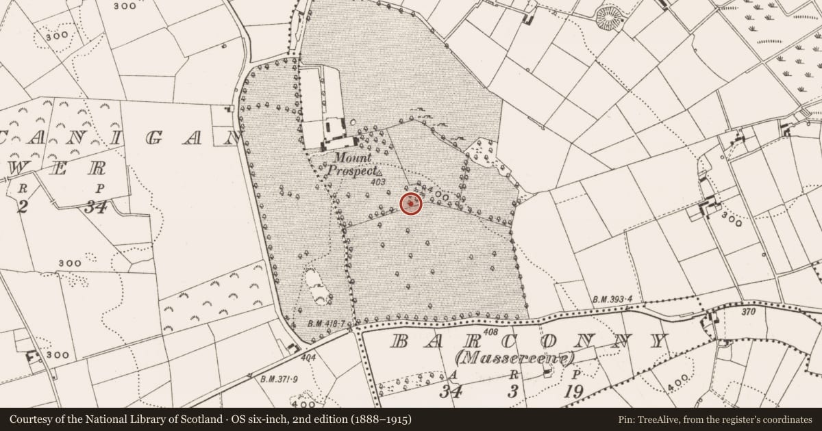 Ordnance Survey six-inch map, 2nd edition (1888–1915) covering the location of Designed landscape - tree-ring, Mountprospect, County Cavan, with a pin at the register's coordinates
