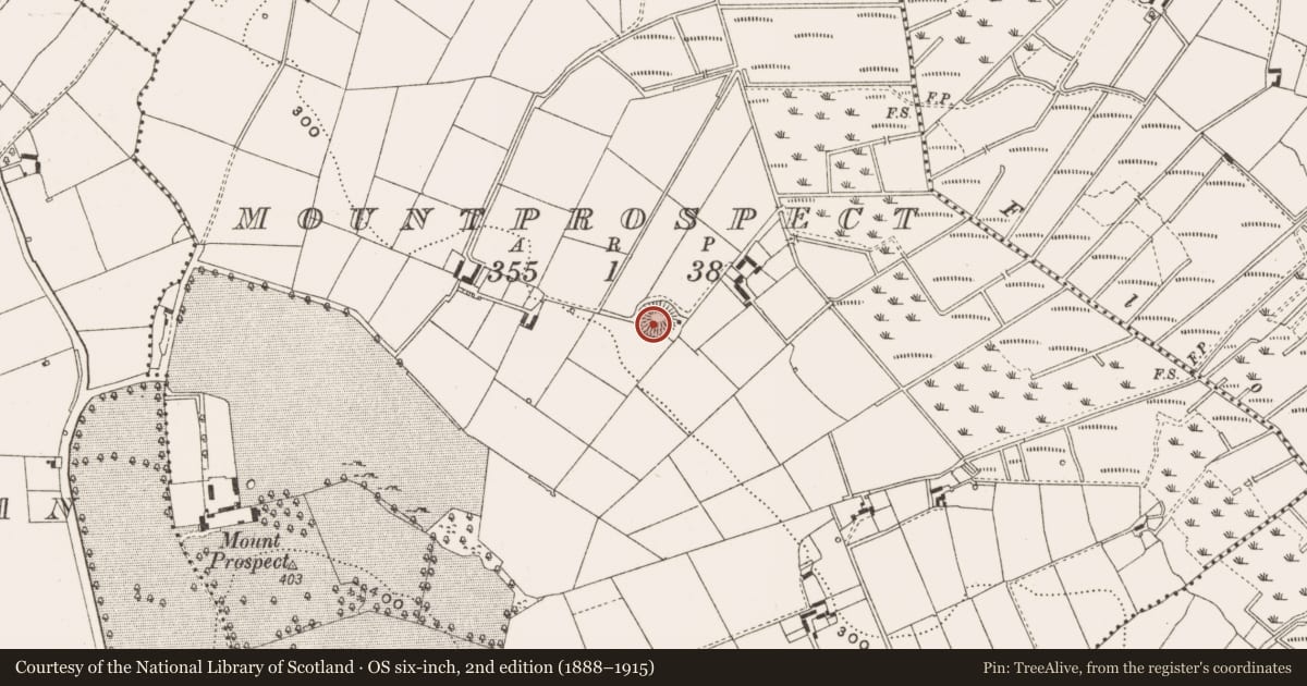 Ordnance Survey six-inch map, 2nd edition (1888–1915) covering the location of Ringfort - rath, Mountprospect, County Cavan, with a pin at the register's coordinates