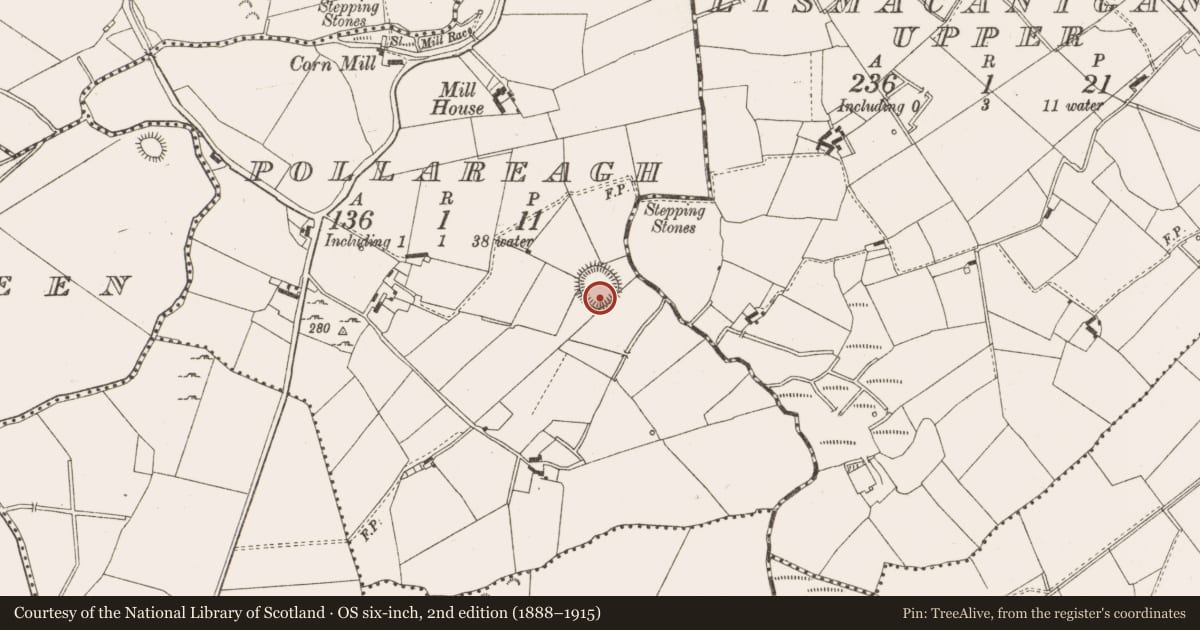 Ordnance Survey six-inch map, 2nd edition (1888–1915) covering the location of Ringfort - rath, Pollareagh, County Cavan, with a pin at the register's coordinates