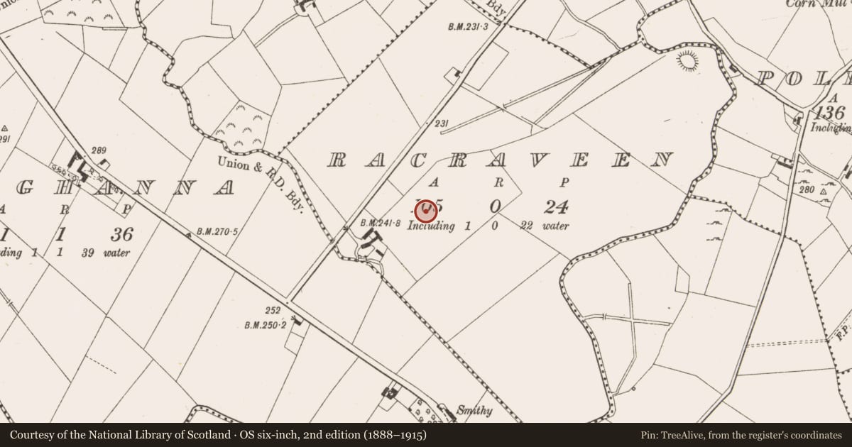 Ordnance Survey six-inch map, 2nd edition (1888–1915) covering the location of Ringfort - rath, Racraveen, County Cavan, with a pin at the register's coordinates