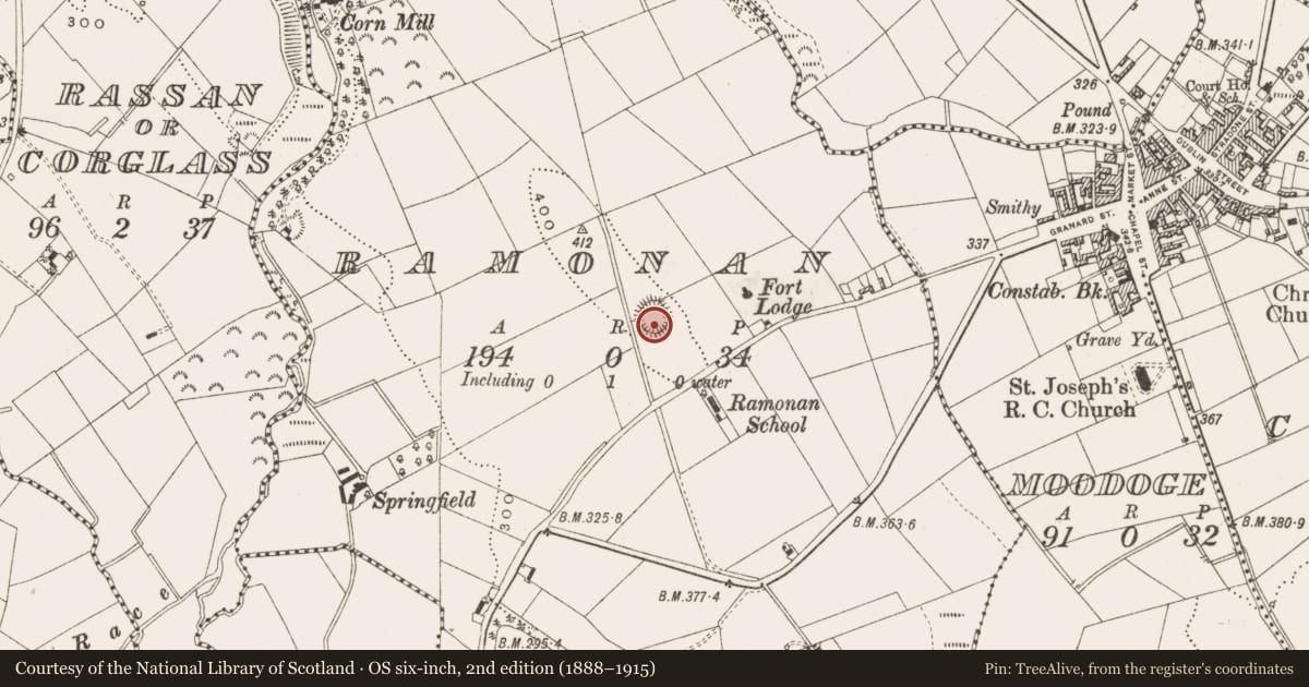 Ordnance Survey six-inch map, 2nd edition (1888–1915) covering the location of Ringfort - rath, Ramonan, County Cavan, with a pin at the register's coordinates