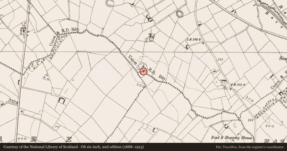 Ordnance Survey six-inch map, 2nd edition (1888–1915) covering the location of Ringfort - rath, Rassan, County Cavan, with a pin at the register's coordinates