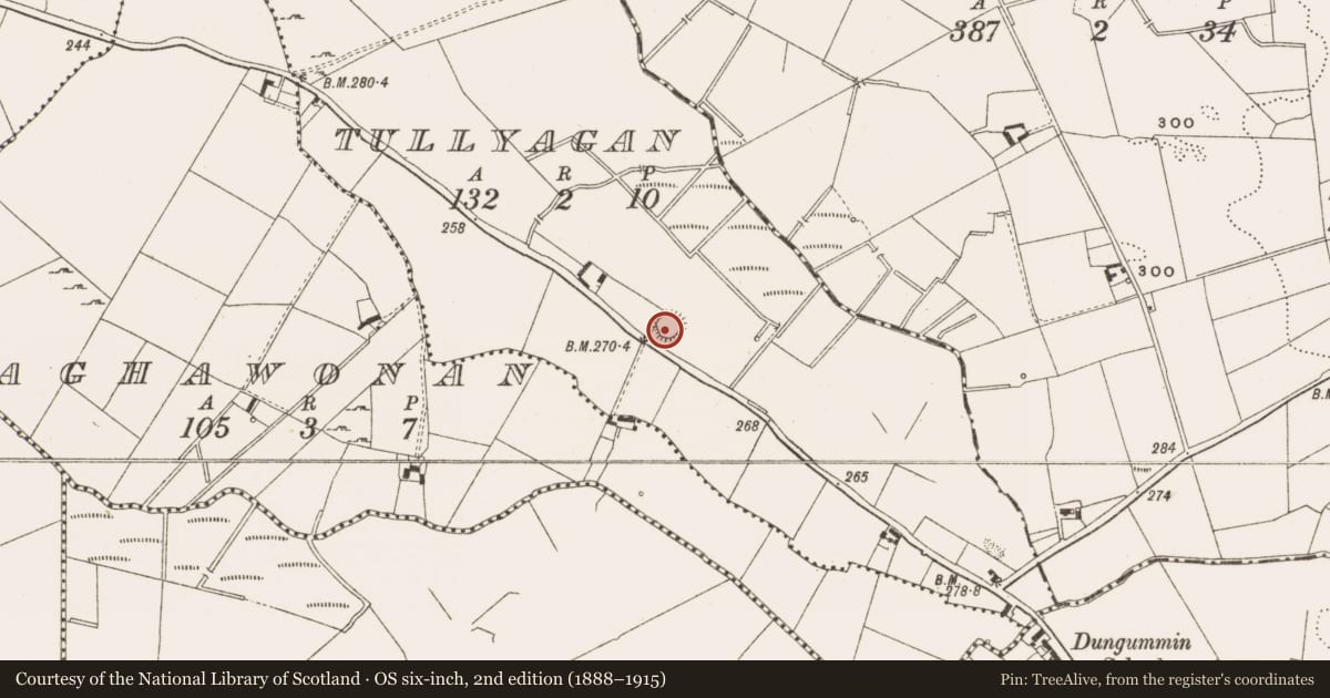 Ordnance Survey six-inch map, 2nd edition (1888–1915) covering the location of Ringfort - rath, Tullyagan, County Cavan, with a pin at the register's coordinates