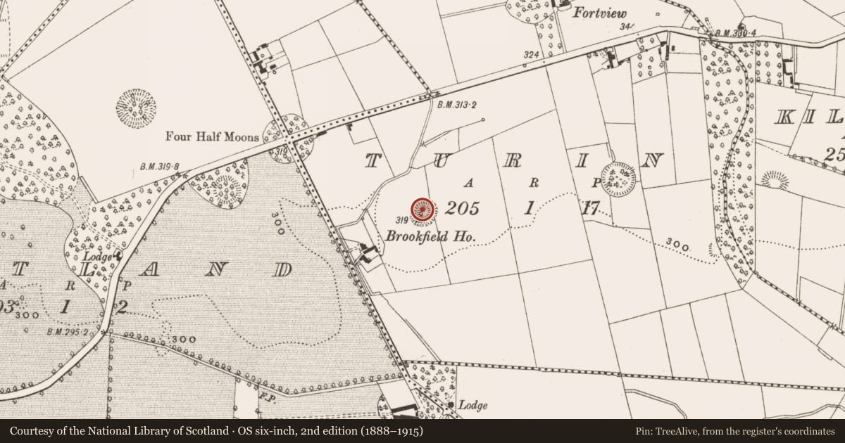 Ordnance Survey six-inch map, 2nd edition (1888–1915) covering the location of Ringfort - rath, Turin, County Cavan, with a pin at the register's coordinates