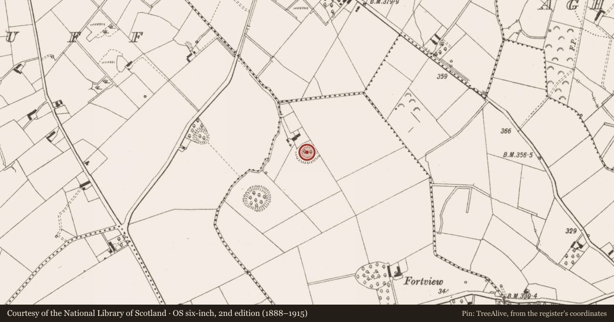 Ordnance Survey six-inch map, 2nd edition (1888–1915) covering the location of Souterrain, Turin, County Cavan, with a pin at the register's coordinates