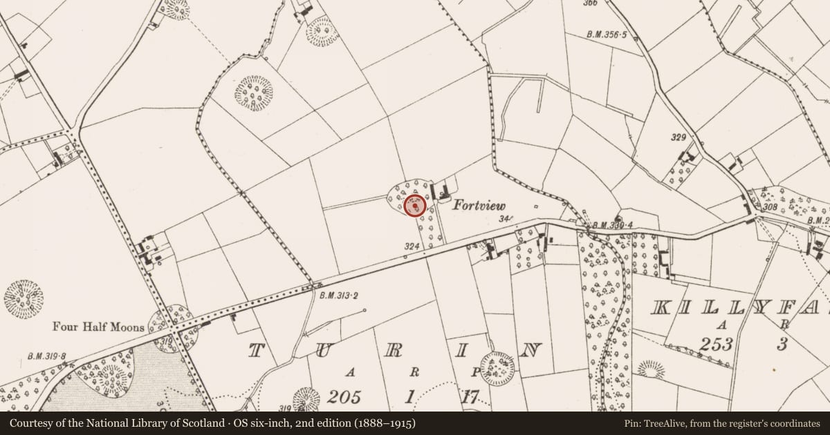 Ordnance Survey six-inch map, 2nd edition (1888–1915) covering the location of Designed landscape - tree-ring, Turin, County Cavan, with a pin at the register's coordinates