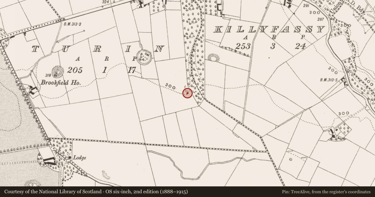 Ordnance Survey six-inch map, 2nd edition (1888–1915) covering the location of Enclosure, Turin, County Cavan, with a pin at the register's coordinates