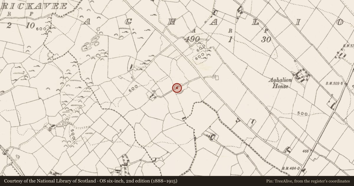 Ordnance Survey six-inch map, 2nd edition (1888–1915) covering the location of Ringfort - rath, Aghalion, County Cavan, with a pin at the register's coordinates