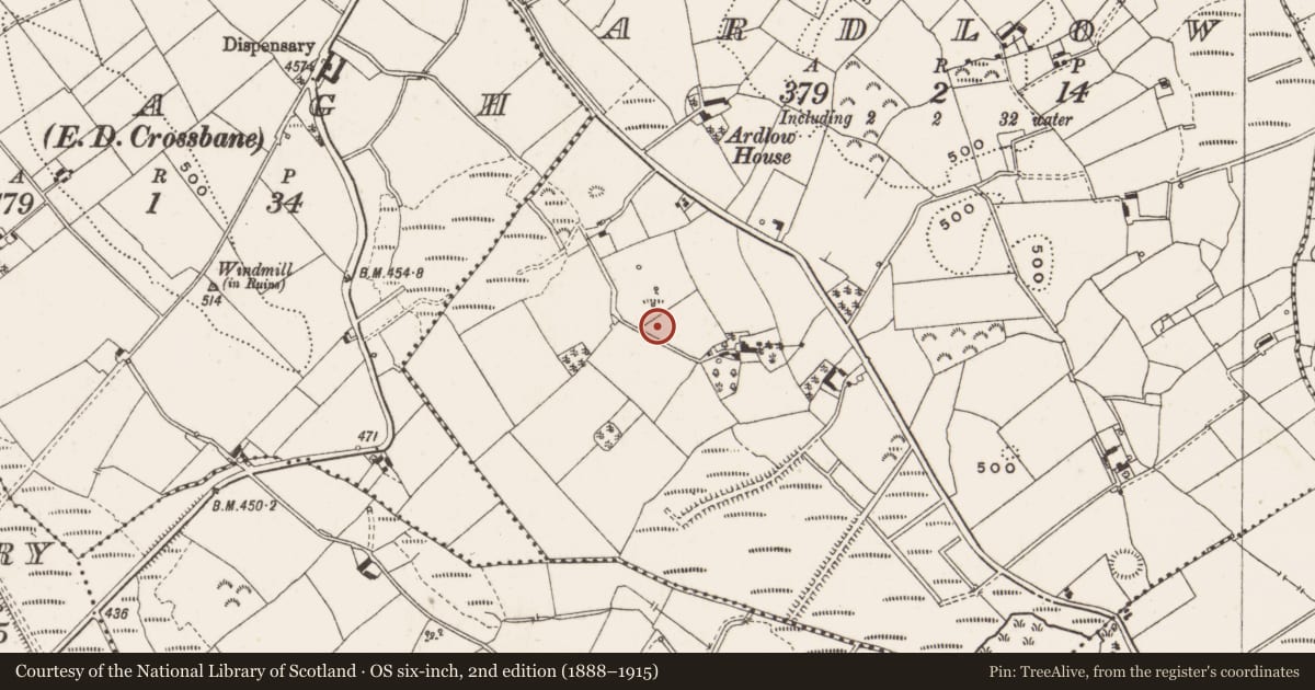 Ordnance Survey six-inch map, 2nd edition (1888–1915) covering the location of Ringfort - unclassified, Ardlow, County Cavan, with a pin at the register's coordinates
