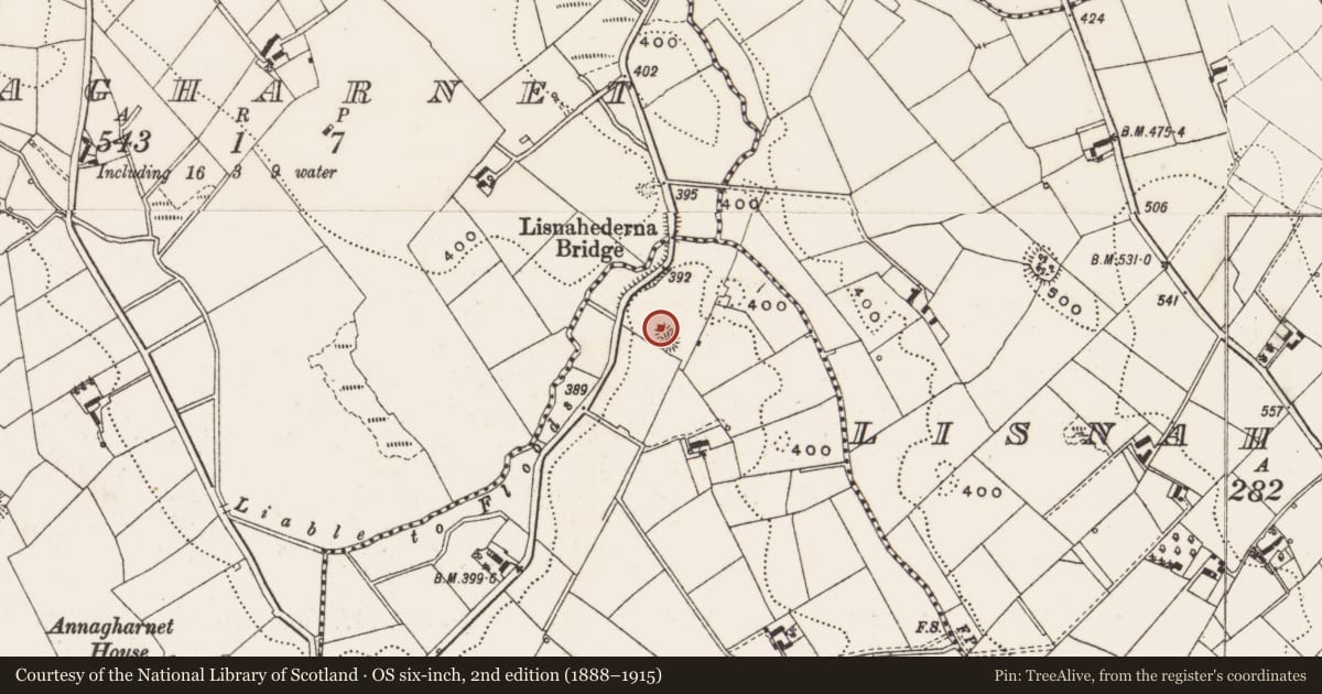 Ordnance Survey six-inch map, 2nd edition (1888–1915) covering the location of Barrow - unclassified, Ardlow, County Cavan, with a pin at the register's coordinates