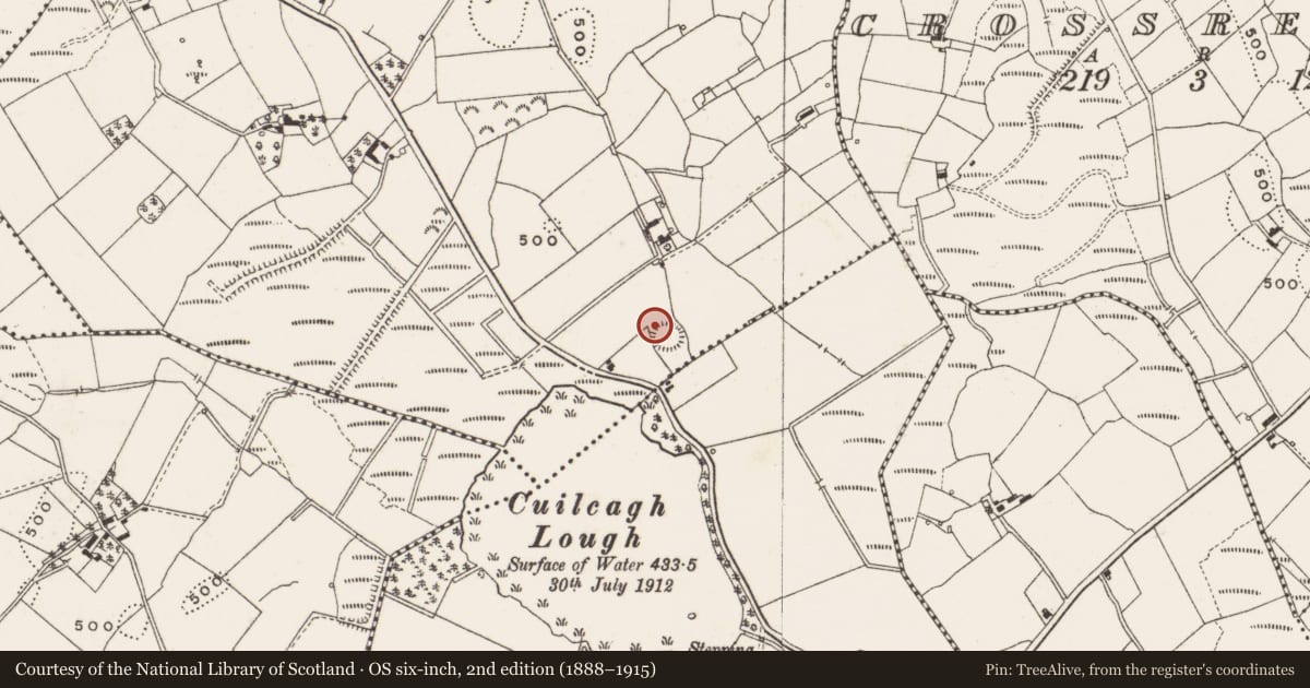 Ordnance Survey six-inch map, 2nd edition (1888–1915) covering the location of Ringfort - rath, Ardlow, County Cavan, with a pin at the register's coordinates
