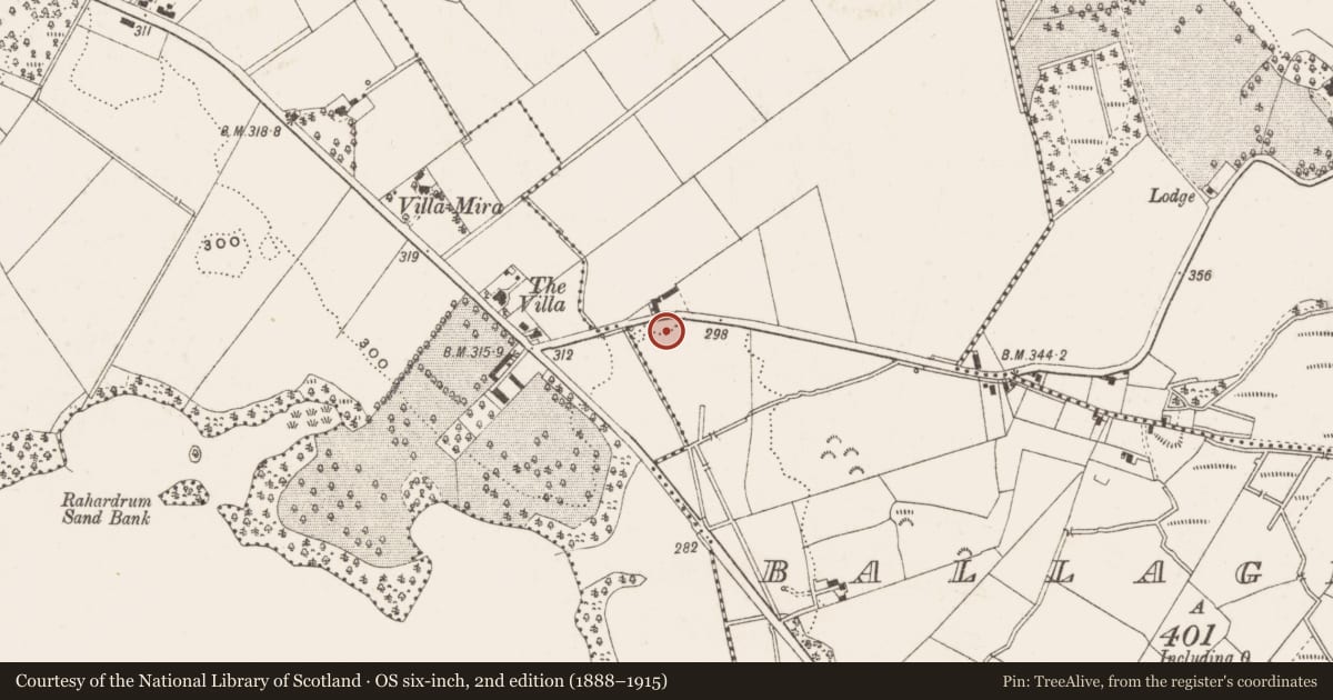 Ordnance Survey six-inch map, 2nd edition (1888–1915) covering the location of Ringfort - unclassified, Ballaghanea, County Cavan, with a pin at the register's coordinates