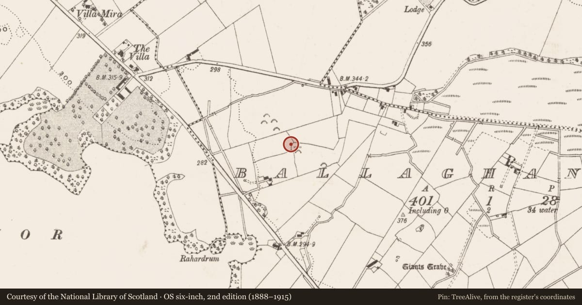 Ordnance Survey six-inch map, 2nd edition (1888–1915) covering the location of Ringfort - rath, Ballaghanea, County Cavan, with a pin at the register's coordinates