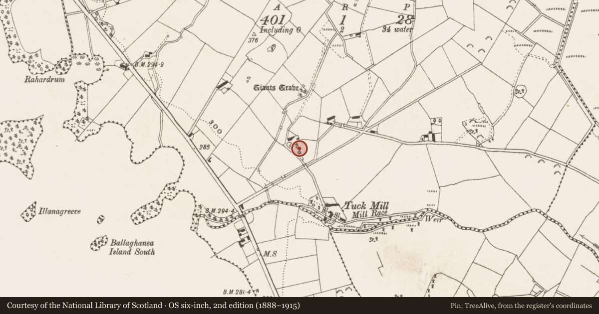 Ordnance Survey six-inch map, 2nd edition (1888–1915) covering the location of Memorial stone, Ballaghanea, County Cavan, with a pin at the register's coordinates