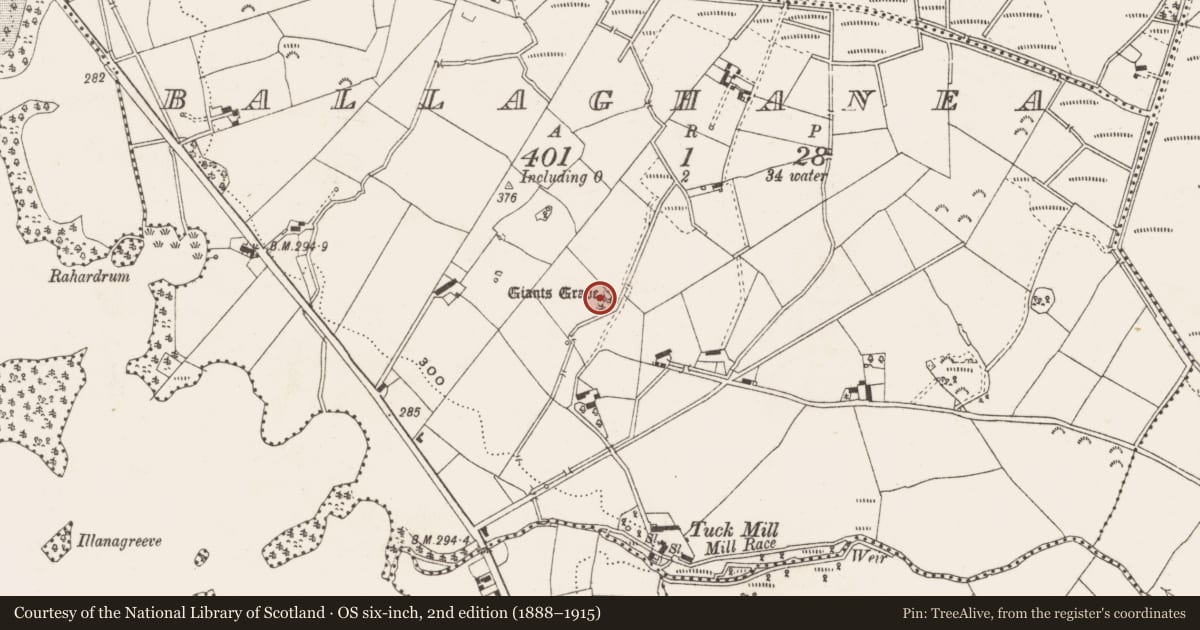 Ordnance Survey six-inch map, 2nd edition (1888–1915) covering the location of Megalithic tomb - portal tomb, Ballaghanea, County Cavan, with a pin at the register's coordinates
