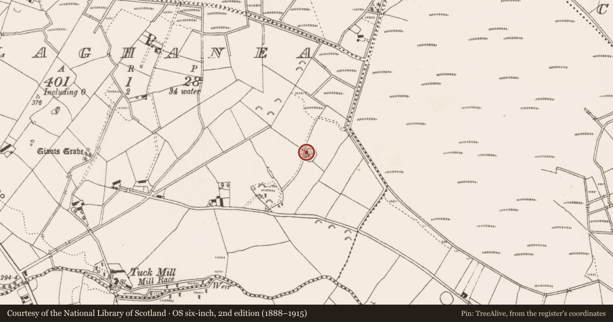 Ordnance Survey six-inch map, 2nd edition (1888–1915) covering the location of Ringfort - rath, Ballaghanea, County Cavan, with a pin at the register's coordinates