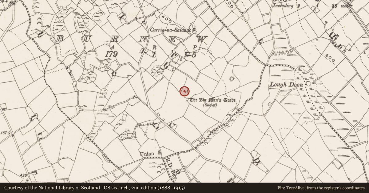 Ordnance Survey six-inch map, 2nd edition (1888–1915) covering the location of Megalithic structure, Burnew, County Cavan, with a pin at the register's coordinates