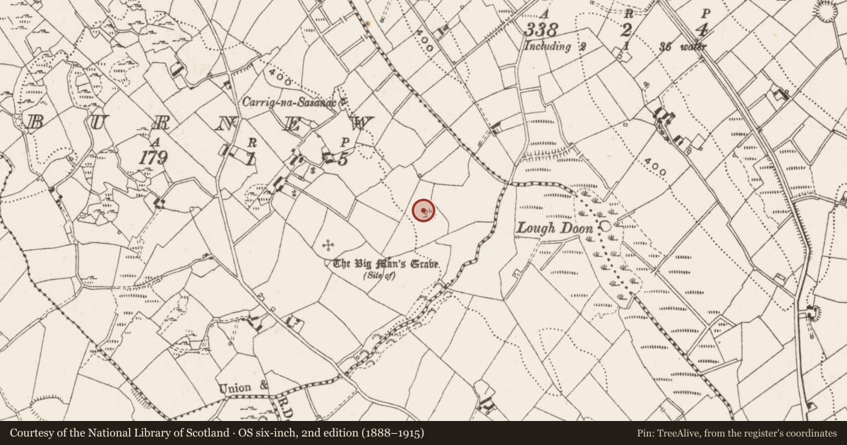 Ordnance Survey six-inch map, 2nd edition (1888–1915) covering the location of Hut site, Burnew, County Cavan, with a pin at the register's coordinates