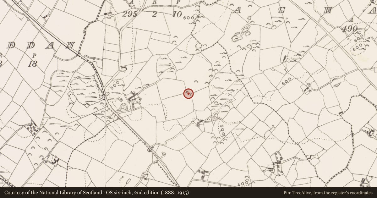 Ordnance Survey six-inch map, 2nd edition (1888–1915) covering the location of Megalithic tomb - unclassified, Carrickavee, County Cavan, with a pin at the register's coordinates