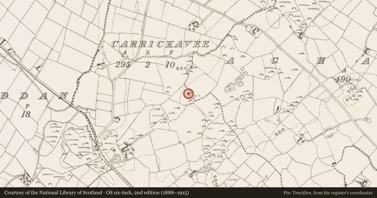 Ordnance Survey six-inch map, 2nd edition (1888–1915) covering the location of Ringfort - rath, Carrickavee, County Cavan, with a pin at the register's coordinates