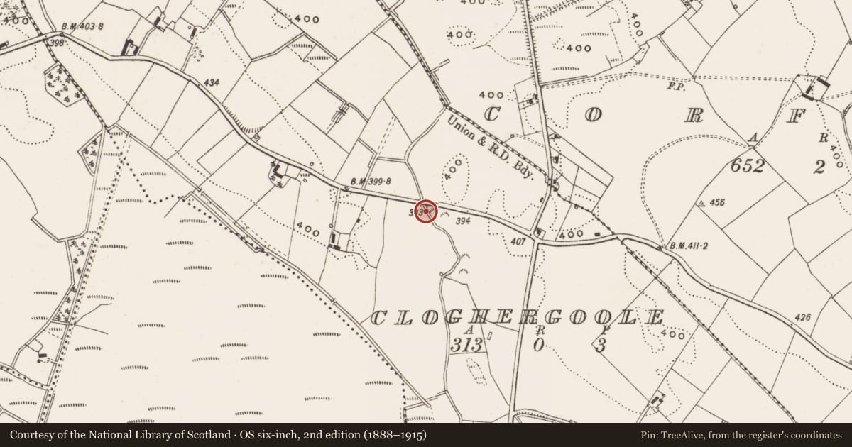 Ordnance Survey six-inch map, 2nd edition (1888–1915) covering the location of Ringfort - unclassified, Cloghergoole, County Cavan, with a pin at the register's coordinates