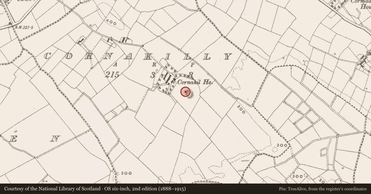 Ordnance Survey six-inch map, 2nd edition (1888–1915) covering the location of Ringfort - rath, Cornakilly, County Cavan, with a pin at the register's coordinates