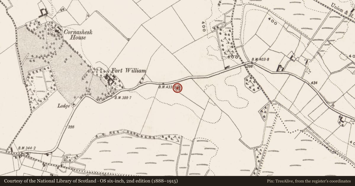 Ordnance Survey six-inch map, 2nd edition (1888–1915) covering the location of Ringfort - cashel, Cornashesk, County Cavan, with a pin at the register's coordinates