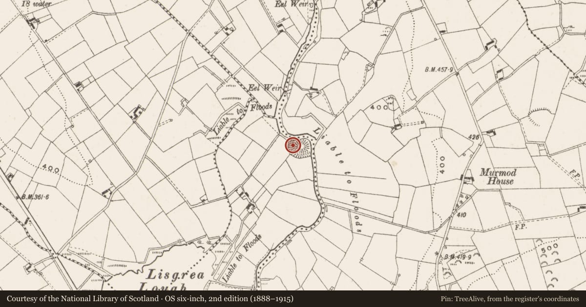 Ordnance Survey six-inch map, 2nd edition (1888–1915) covering the location of Ringfort - rath, Cornaslieve, County Cavan, with a pin at the register's coordinates