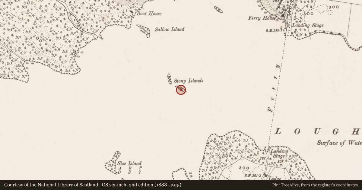 Ordnance Survey six-inch map, 2nd edition (1888–1915) covering the location of Crannog, Stony Islands, County Cavan, with a pin at the register's coordinates