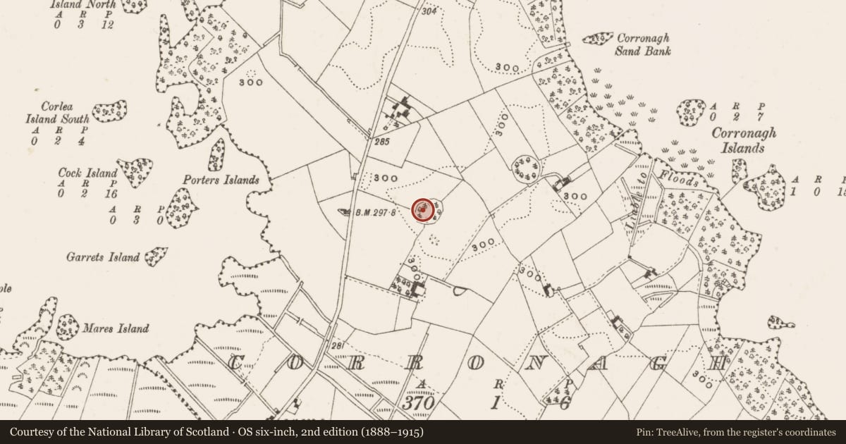 Ordnance Survey six-inch map, 2nd edition (1888–1915) covering the location of Ringfort - rath, Corronagh, County Cavan, with a pin at the register's coordinates