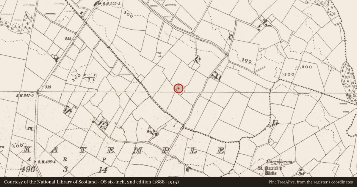 Ordnance Survey six-inch map, 2nd edition (1888–1915) covering the location of Ringfort - cashel, Corronagh, County Cavan, with a pin at the register's coordinates