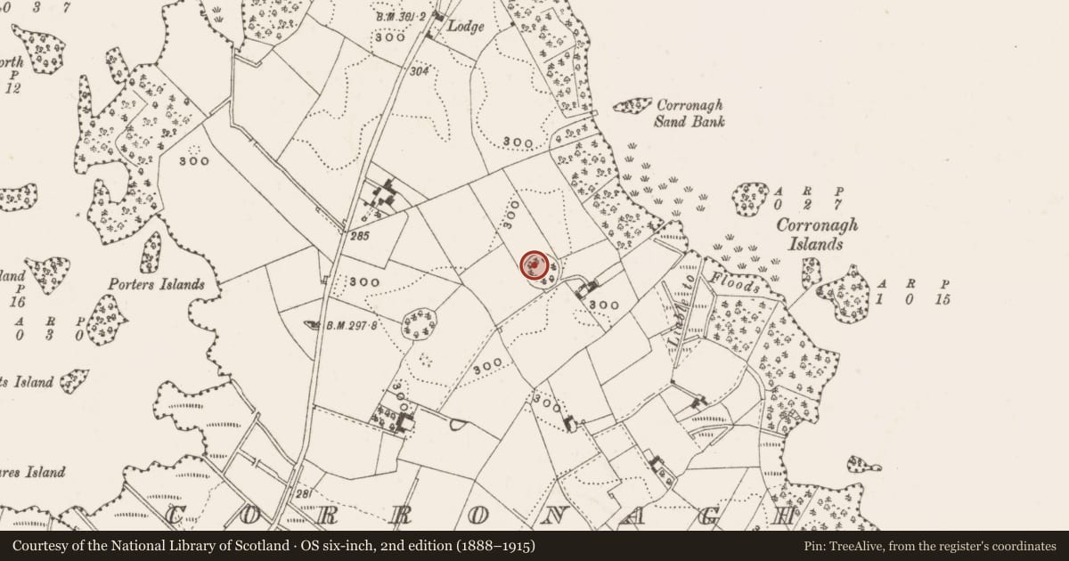 Ordnance Survey six-inch map, 2nd edition (1888–1915) covering the location of Ringfort - rath, Corronagh, County Cavan, with a pin at the register's coordinates