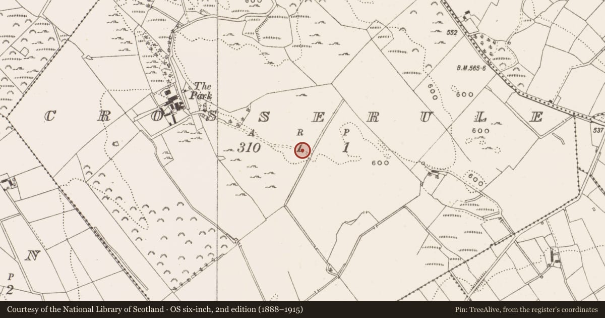 Ordnance Survey six-inch map, 2nd edition (1888–1915) covering the location of Ringfort - rath, Crosserule, County Cavan, with a pin at the register's coordinates